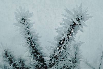 Close-up of frozen sea