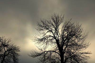 Low angle view of bare tree against sky