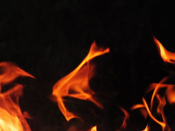 Close-up of bonfire against black background