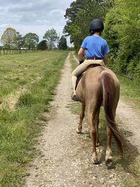 Rear view of boy sitting on horse