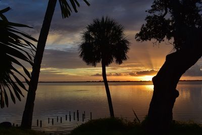 Silhouette palm trees on beach against sky during sunset