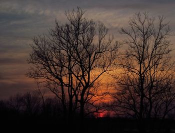 Silhouette of tree against sky at sunset