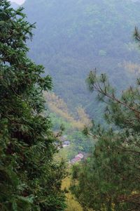 High angle view of trees on landscape against sky