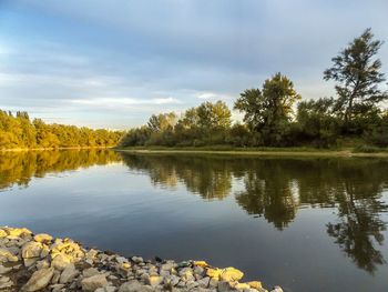 Scenic view of lake in forest against sky