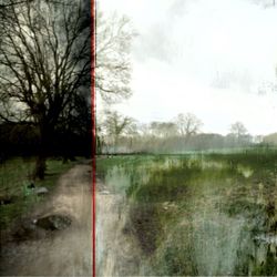 Bare trees against sky