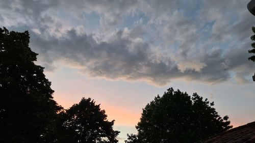 Low angle view of silhouette trees against sky during sunset