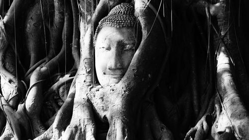 Close-up of buddha statue in tree root