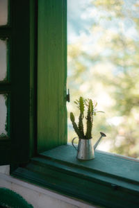 Close-up of potted plant on window sill