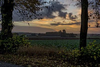 Scenic view of field against dramatic sky