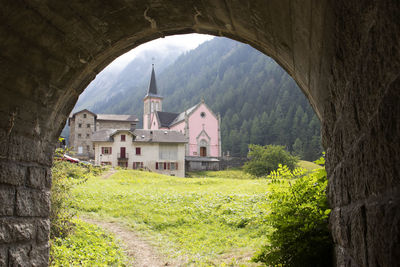 The pink church trient