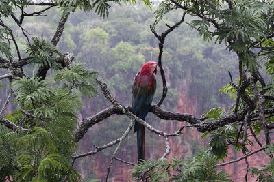 Bird perching on branch