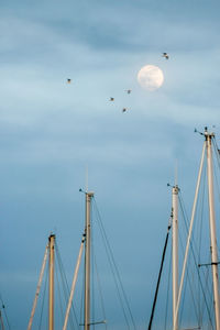 Low angle view of birds flying over mast against sky at dusk