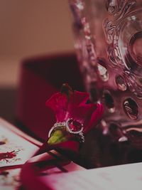 Close-up of rose in glass vase on table