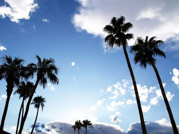 Low angle view of silhouette palm trees against sky