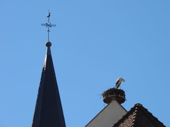 Low angle view of bird in nest on roof against clear blue sky