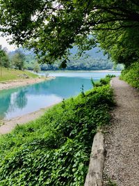 Scenic view of lake