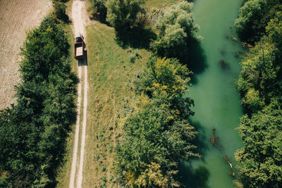 High angle view of road amidst trees in forest