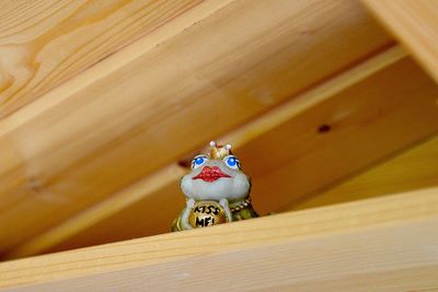 Close-up of toy on table