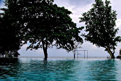 Scenic view of sea against sky