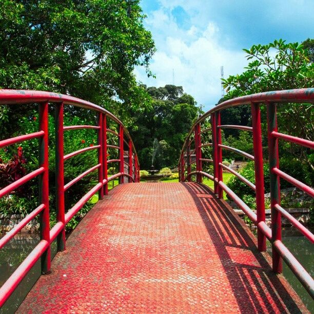 tree, railing, the way forward, diminishing perspective, red, footbridge, growth, tranquility, sky, steps, metal, park - man made space, nature, sunlight, day, built structure, steps and staircases, absence, no people, empty