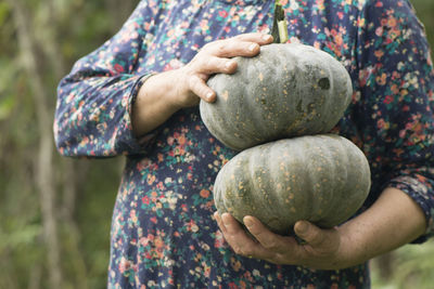 Close-up of hands holding two pumpkins in outdoor area