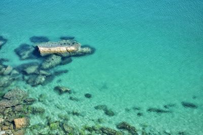 High angle view of swimming in sea