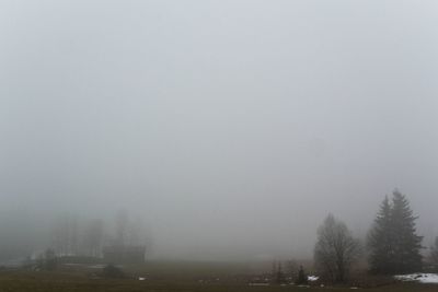 Scenic view of misty landscape