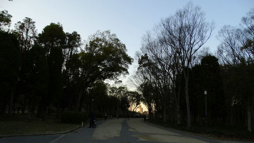 Road amidst trees against sky