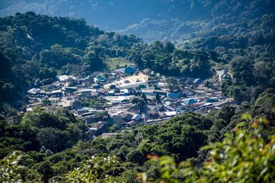High angle view of townscape and trees