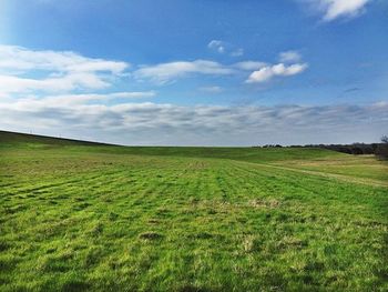 Scenic view of grassy field against sky