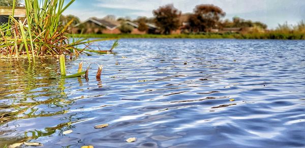 Scenic view of lake against sky