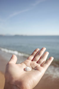 Cropped image of woman hand holding seashell against sky