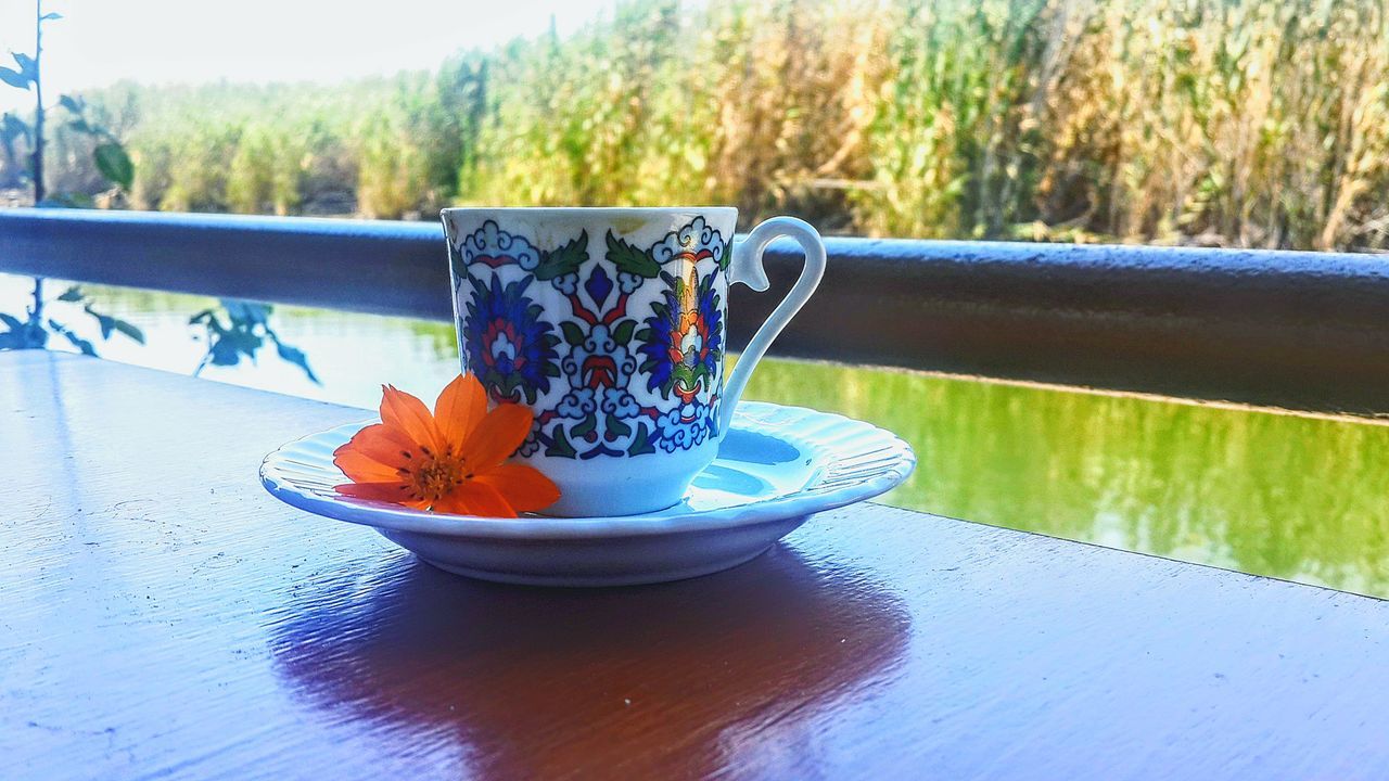 table, food and drink, saucer, no people, day, refreshment, plate, drink, focus on foreground, close-up, freshness, healthy eating, outdoors, tree, food, water, flower, nature