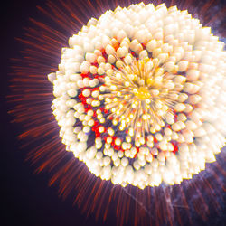 Close-up of illuminated flower bouquet