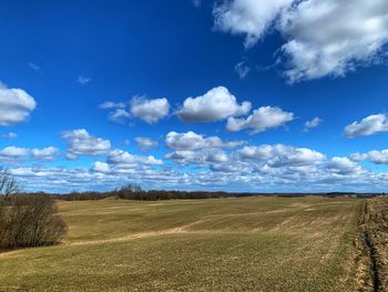 Scenic view of field against sky