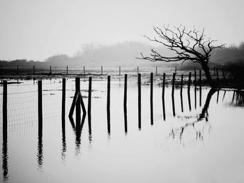 Wooden posts in sea against clear sky