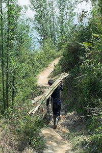 Man working on field in forest