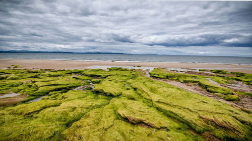 Scenic view of sea against cloudy sky