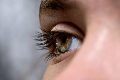 Close-up of human eye