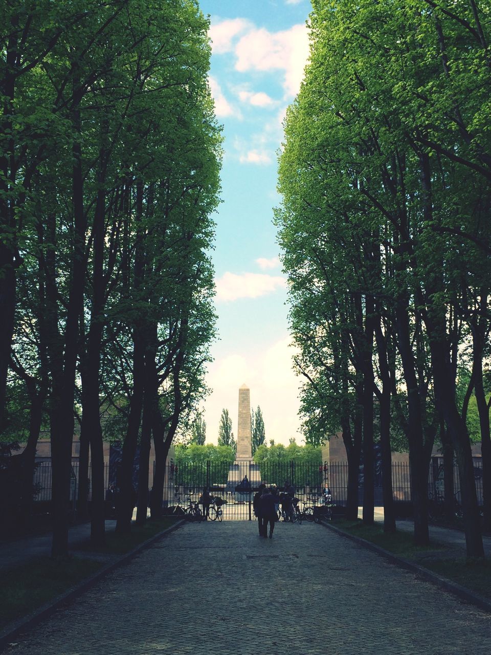 tree, the way forward, sky, built structure, building exterior, diminishing perspective, architecture, treelined, footpath, growth, vanishing point, sunlight, walkway, incidental people, shadow, in a row, street, outdoors, pathway, day