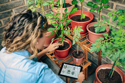 Woman using gardening app with artificial intelligence to care plants of urban garden on terrace