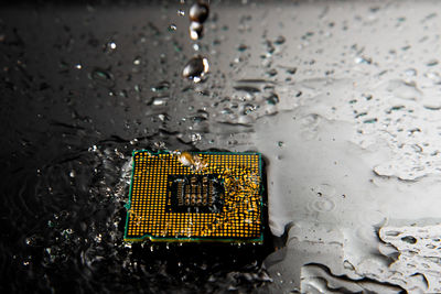 Close-up of wet telephone booth