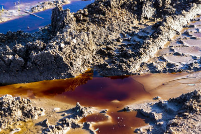 A close-up photo of polluted water