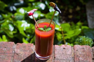 High angle view of tomato juice in glass on brick wall