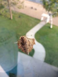 High angle view of bird