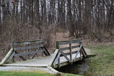 View of water in park