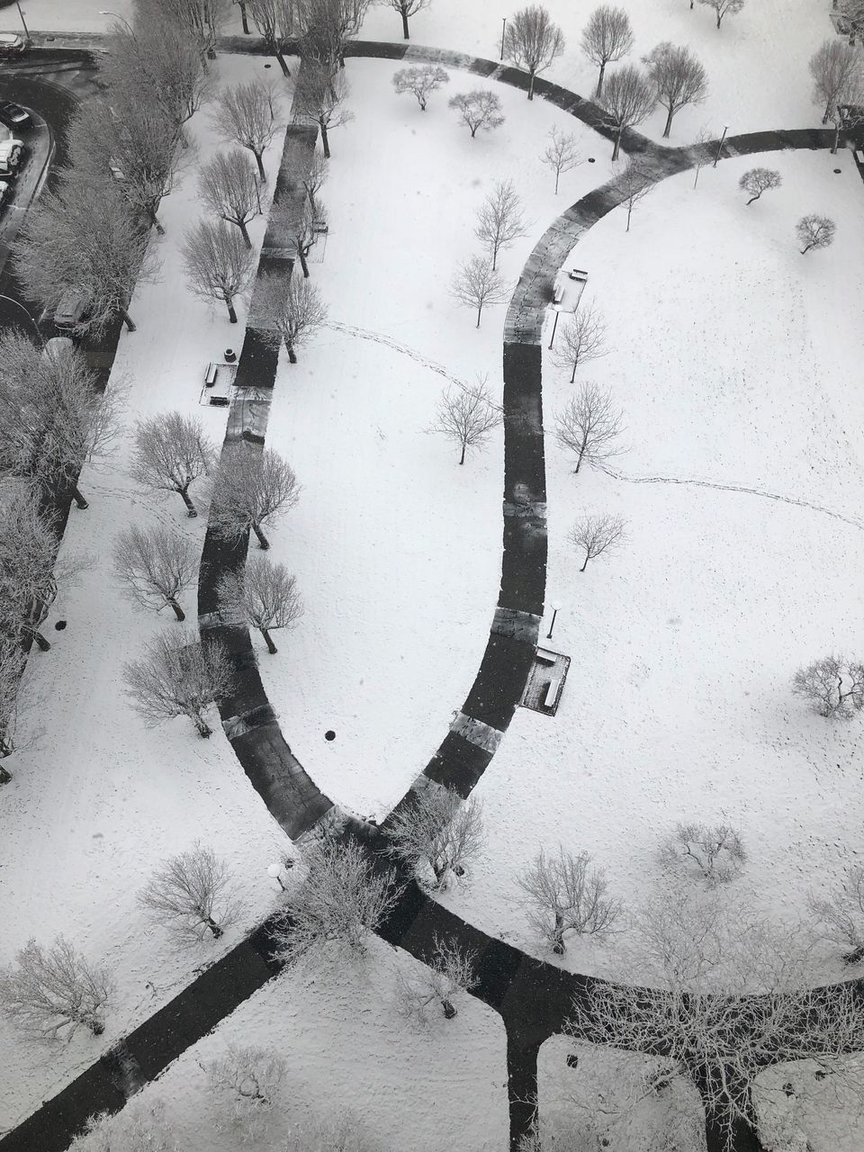 HIGH ANGLE VIEW OF TREE IN WINTER