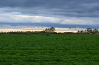 Scenic view of landscape against sky