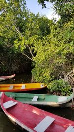 Boat moored on tree by water