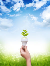 Close-up of woman hand holding light bulb by plants against sky